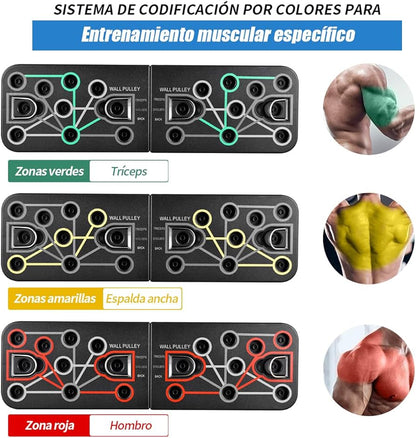 TABLA PUSH UP FLEXIONES Y EJERCICIOS